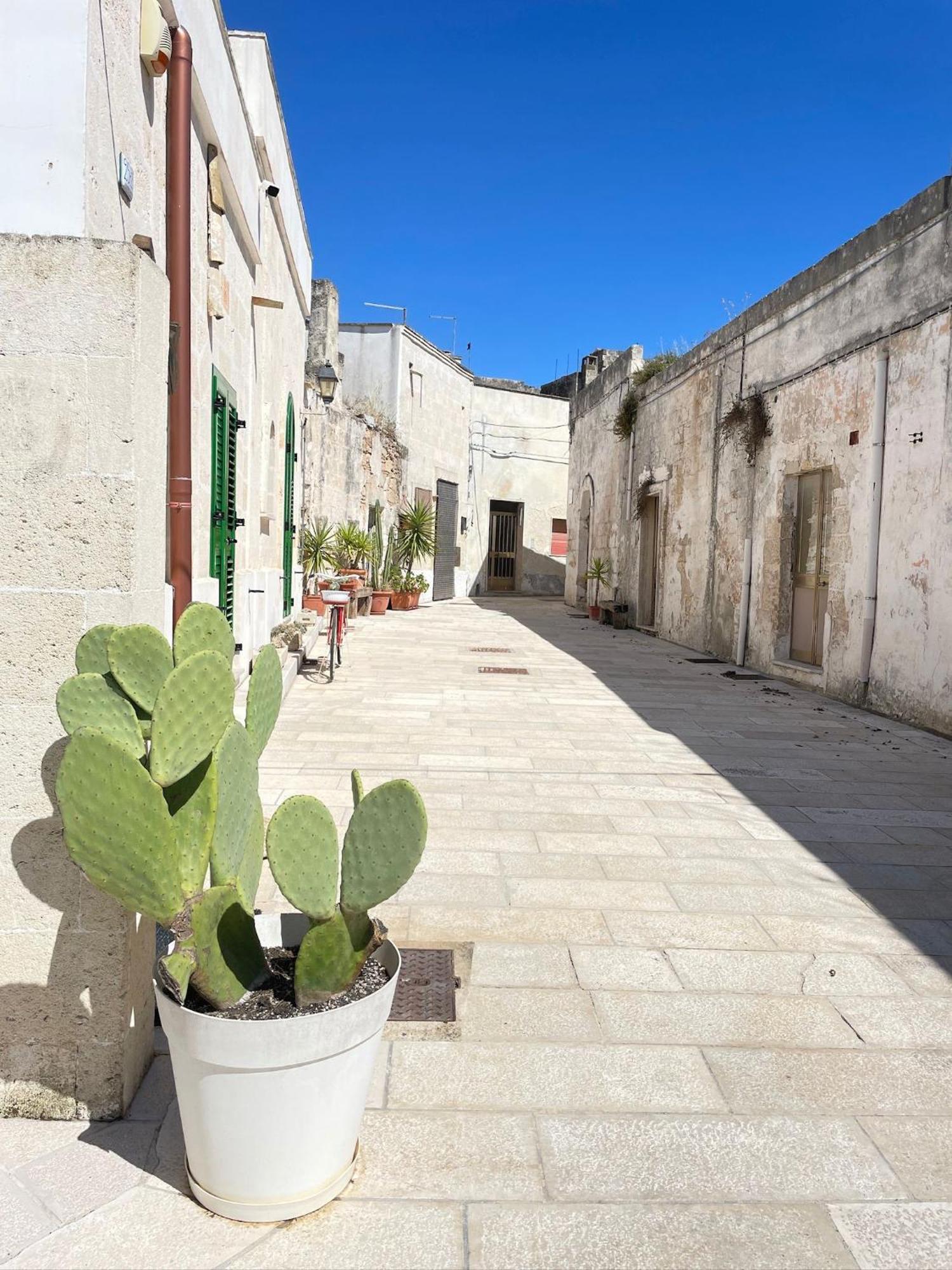 B&B Borgo Monacizzo Экстерьер фото